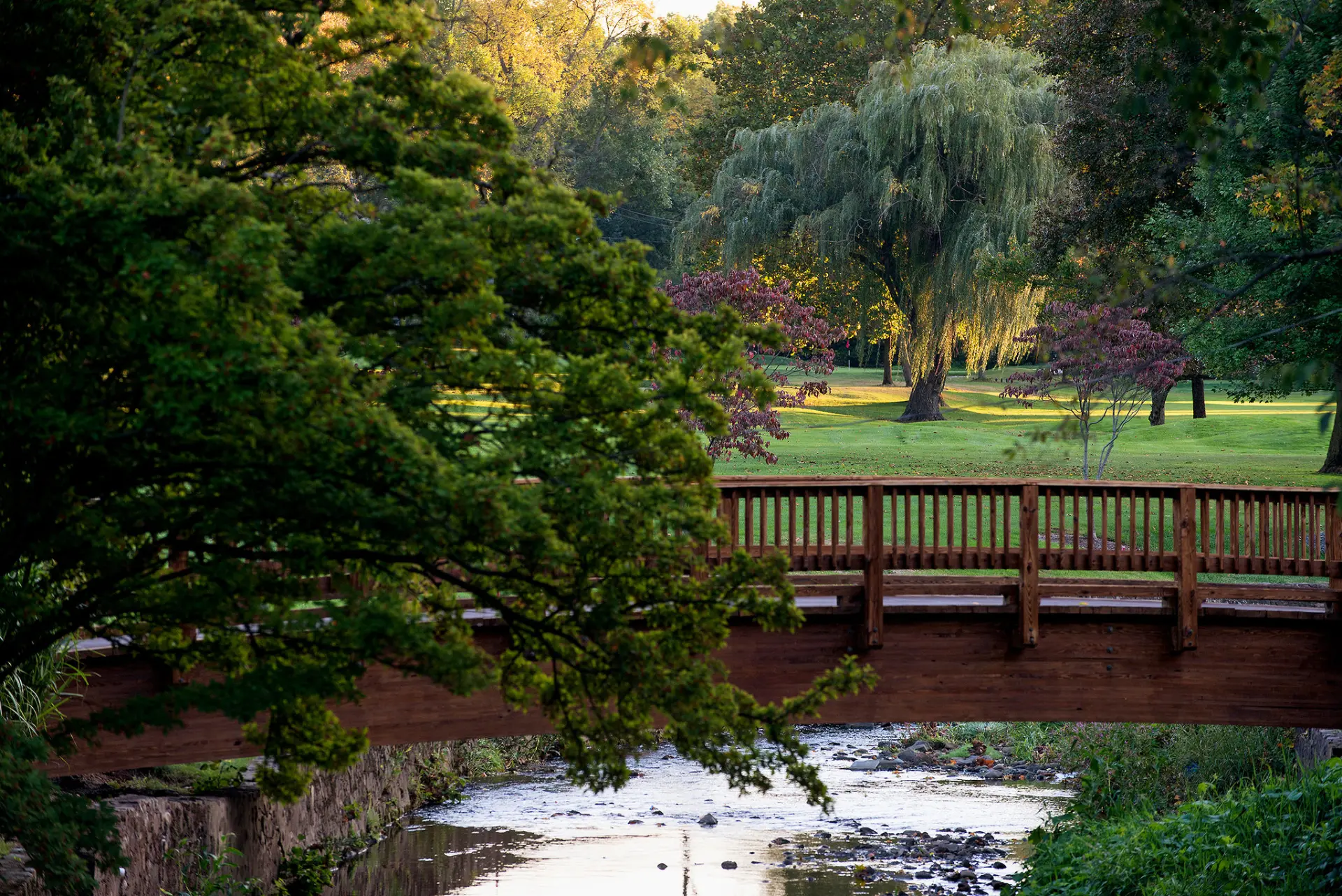 Maplewood, NJ — a walkable community served by Lina Panza